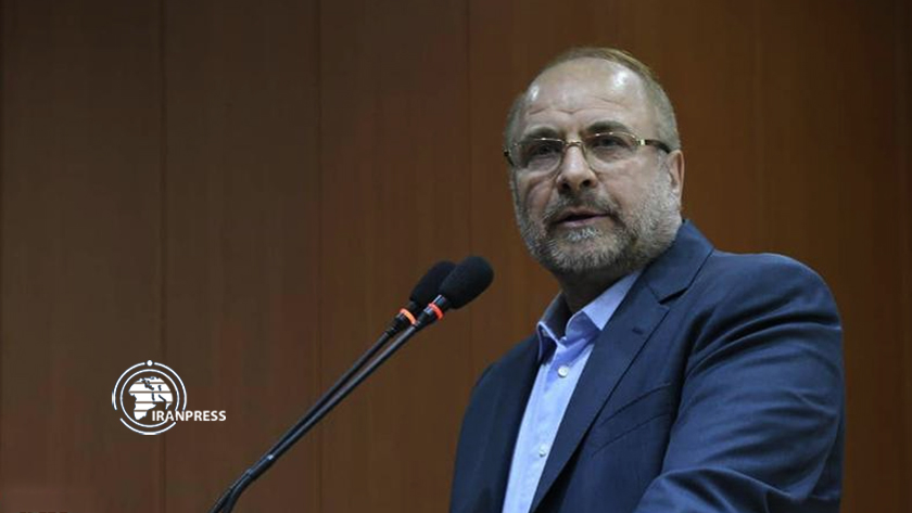 Iranpress: قالیباف: تمام ساختار حزب‌الله زنده و در حال جنگ است