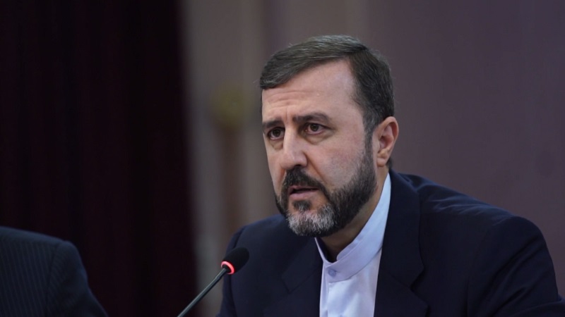 Iranpress: درخواست ایران برای جلوگیری از سیاسی‌سازی سازمان منع سلاح های شیمیائی