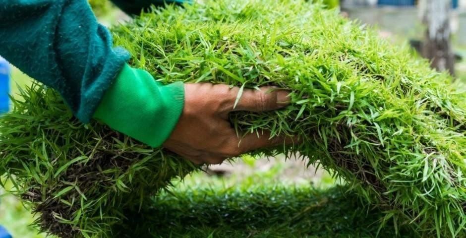 Iranpress: چگونه کیفیت چمن مصنوعی خود را تشخیص بدهیم؟