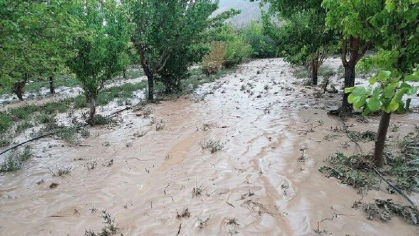 ایران پرس: هشدار هواشناسی مازندران/ سیل در راه است