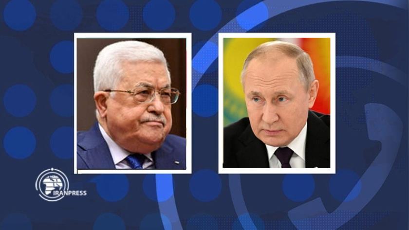 Iranpress: پوتین بر موضع روسیه در حمایت از حقوق ملت فلسطین تاکید کرد