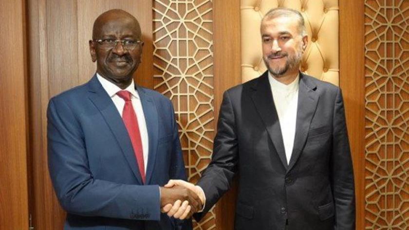 Iranpress: بررسی شرایط غزه محور گفت‌وگوی وزیران خارجه ایران و موریتانی