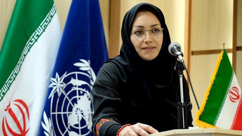 Iranpress: سال ۲۰۲۳ گرمترین سال کره زمین معرفی شد