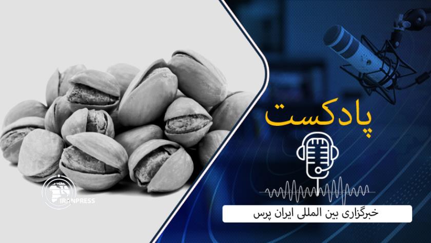 Iranpress: بشنوید؛ ایران دومین صادرکننده پسته به اروپا در 2023 شد