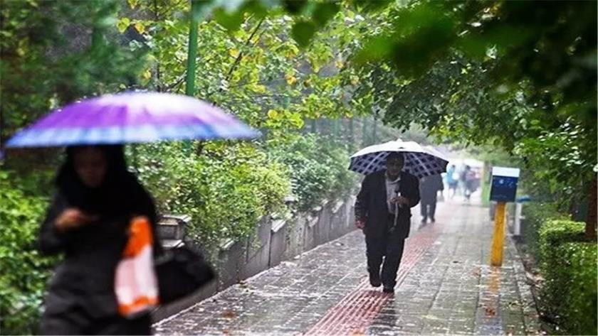 Iranpress: بارش باران در بخش‌های شمالی و غربی کشور
