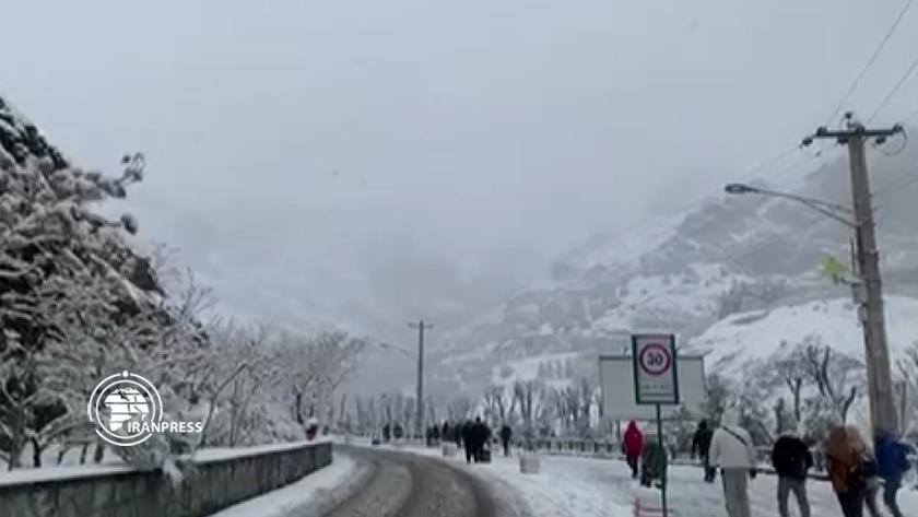 Iranpress: بارش برف در بام تهران+ ویدئو