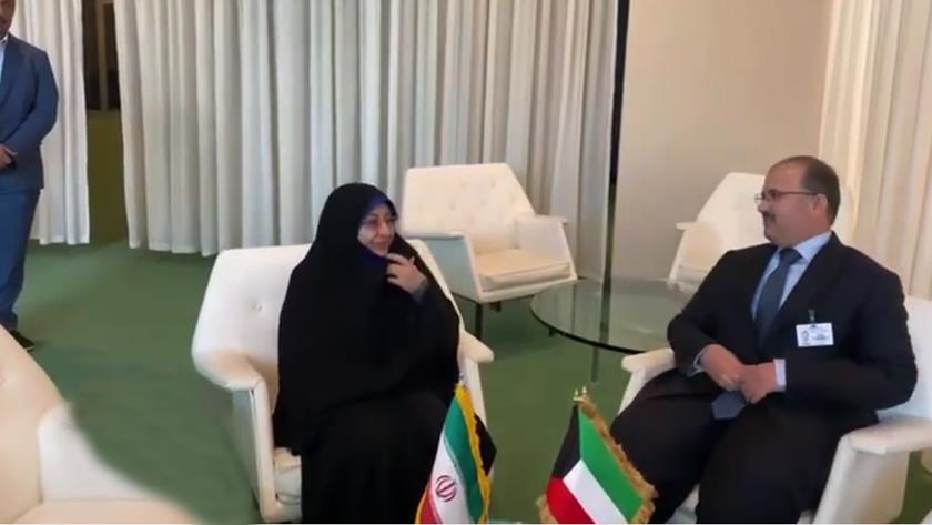 Iranpress: معاون رئیس جمهور: کشورهای مسلمان باید به ترویج هنجارهای خانواده بپردازند