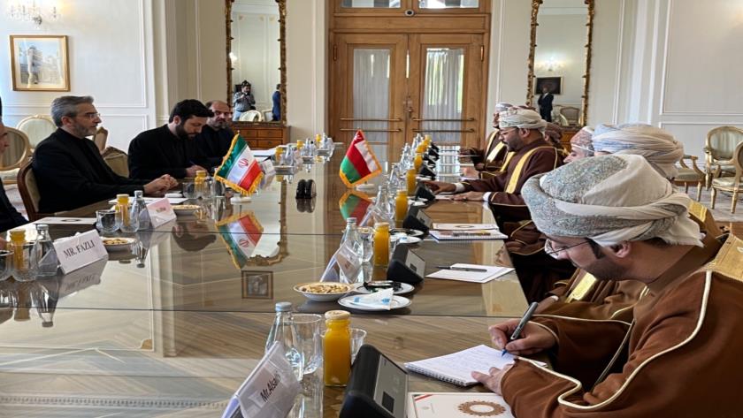 Iranpress: دیدار سرپرست وزارت امور خارجه با وزیر خارجه عمان