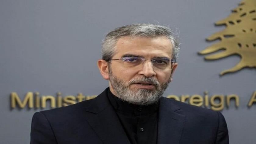 Iranpress: دیدار باقری با هیاتی از گروه‌های مقاومت فلسطین