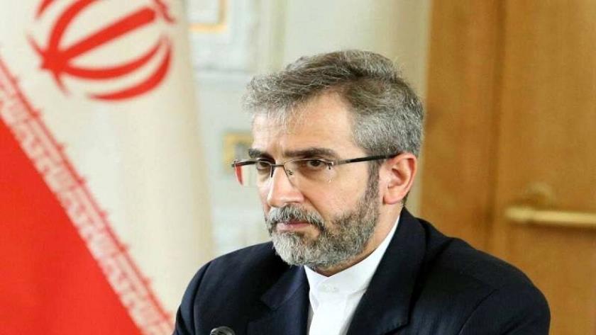 Iranpress: باقری کنی: جامعه جهانی ، اسرائیل را وادار به اجرای رای دیوان بین المللی دادگستری بکند
