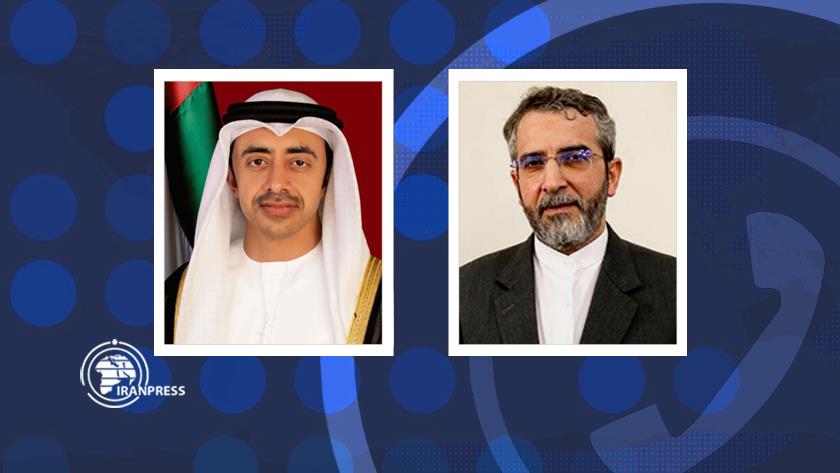 Iranpress: باقری: کشورهای اسلامی برای توقف نسل‌کشی در غزه تمامی ابزارها را به‌کار گیرند