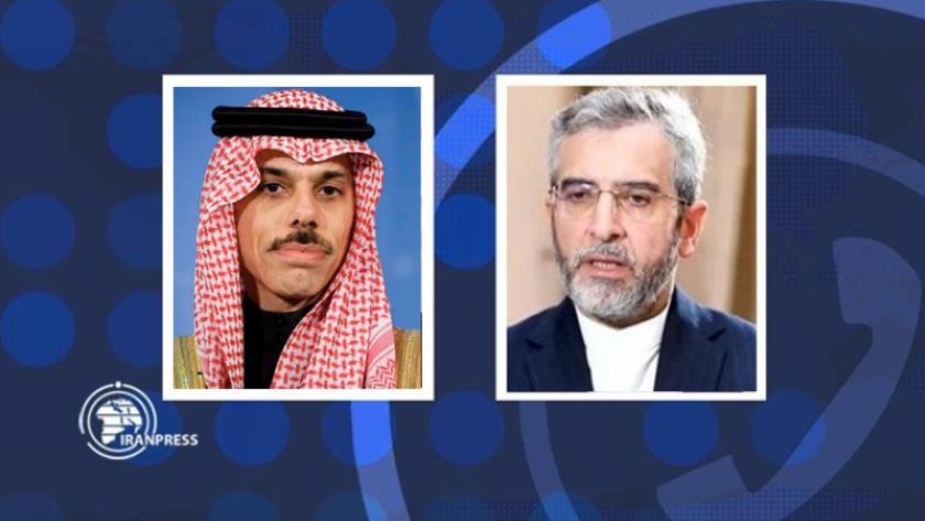 Iranpress: رایزنی سرپرست وزارت امور خارجه با وزیر امور خارجه عربستان