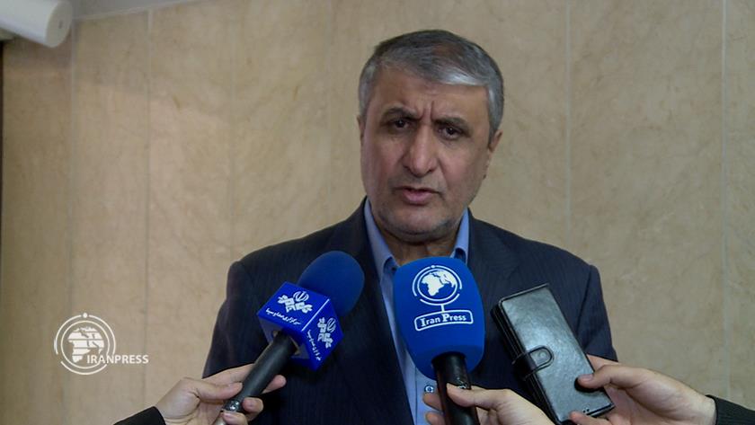 Iranpress: اسلامی: ايران در ميان سه كشور اول دنيا در توليد راديو دارو 