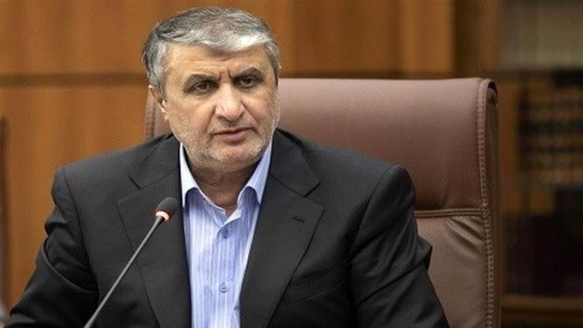 Iranpress: سفر رییس سازمان انرژی اتمی ایران به وین