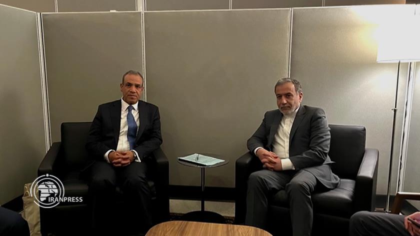 Iranpress: رایزنی ایران، مصر برای برگزاری  نشست فوق العاده سران کشورهای عضو سازمان همکاری اسلامی