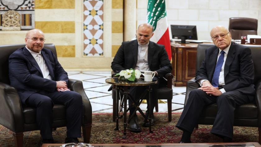 Iranpress: رئیس مجلس با نخست وزیر لبنان دیدار کرد