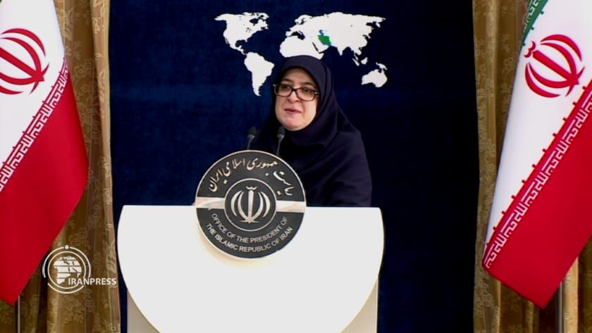 Iranpress: سخنگوی دولت: تعداد اتباع غیرمجاز از اتباع مجاز بیشتر است