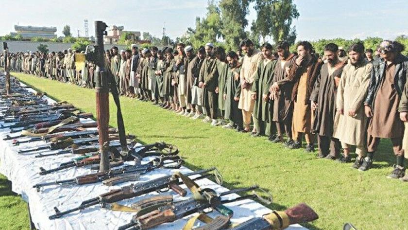 Iranpress: ۱۰۰ کشته در حملات تروریستی یک ماه گذشته پاکستان 