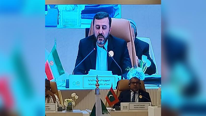 Iranpress: غریب‌آبادی: زمان اخراج رژیم صهیونیستی از سازمان ملل فرا رسیده است
