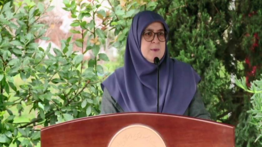 Iranpress: سخنگوی دولت هدف سفر گروسی به تهران را تشریح کرد
