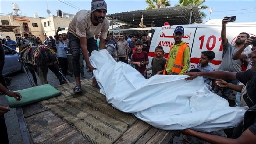 Iranpress: افزایش شمار شهدای غزه به ۴۴ هزار و ۴۲۹ نفر