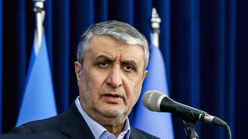 Iranpress: اسلامی: ایران نمی‌تواند تابع نظام سلطه باشد