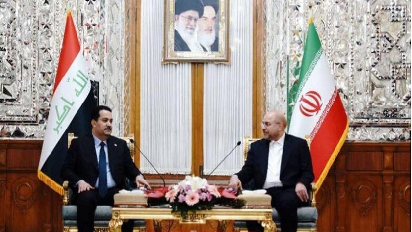 Iranpress: نخست وزیر عراق با رئیس مجلس شورای اسلامی دیدار کرد