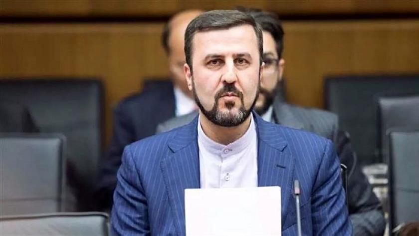 Iranpress: انتقاد غریب‌آبادی از تحمیل سازوکار‌های سیاسی و غیرعادلانه حقوق بشری
