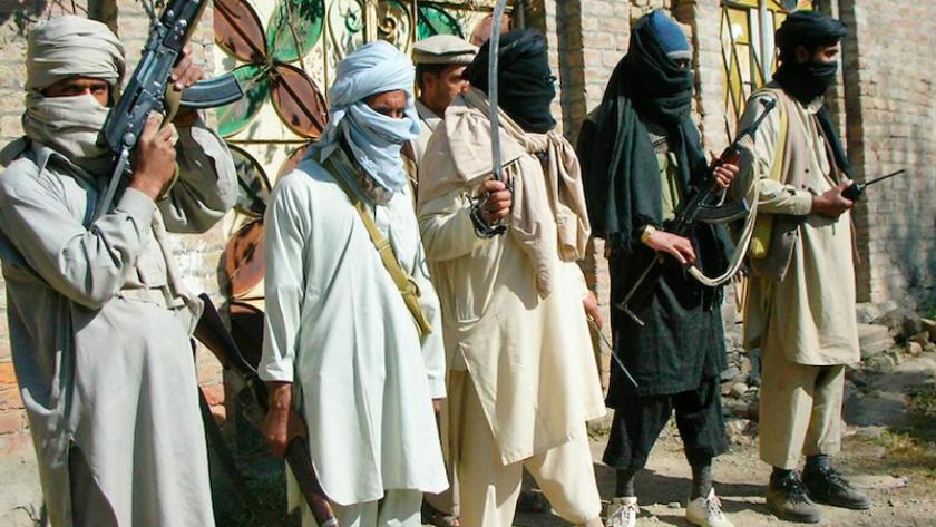Iranpress: کشته شدن ۳۰ نفر از عناصر تحریک طالبان پاکستان در ایالت خیبرپختونخوا