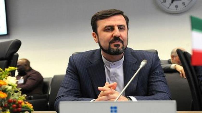 Iranpress: غریب‌آبادی: گفت‌وگوی صریح و سازنده‌ای با گروسی داشتم