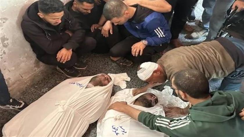 Iranpress: شهادت چهل و یک فلسطینی در غزه  
