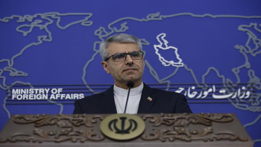 Iranpress: بقائی: تامین منافع ملی تنها هدف ایران در مذاکرات است