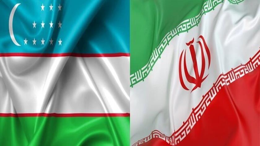 Iranpress: استقبال مقامات ازبکستان از توانمندی‌های نخبگان ایرانی