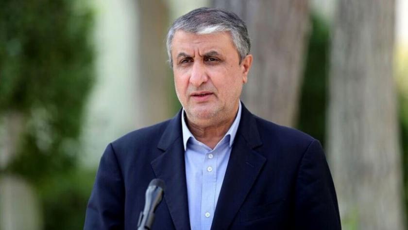 Iranpress: اسلامی: غنی‌سازی، پایه و ستون صنعت هسته‌ای کشور به شمار می‌آید