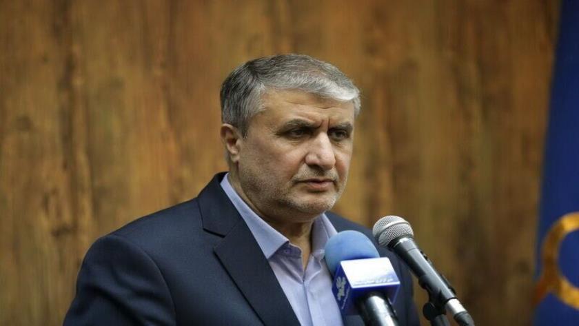 Iranpress: رئیس سازمان انرژی اتمی: دیگر اعتمادی به آژانس و بازرسی های آن نداریم