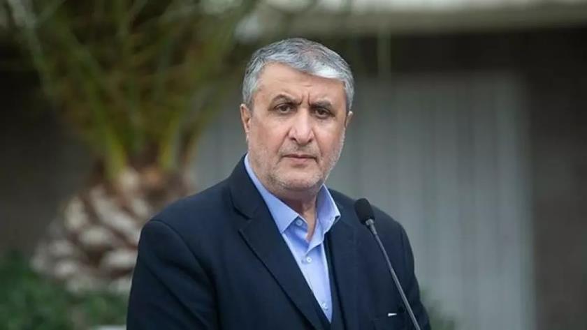 Iranpress: اسلامی: سفر دو بازرس آژانس با مجوز شورای عالی امنیت ملی انجام شد