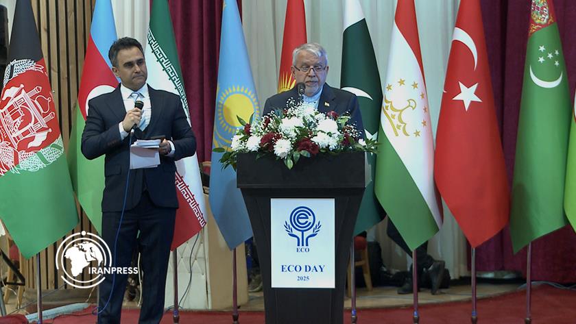 Iranpress: تأثیر برنامه‌های جدید اکو بر توسعه اقتصادی کشورهای عضو/ تلاش ایران برای ویزای اکو
