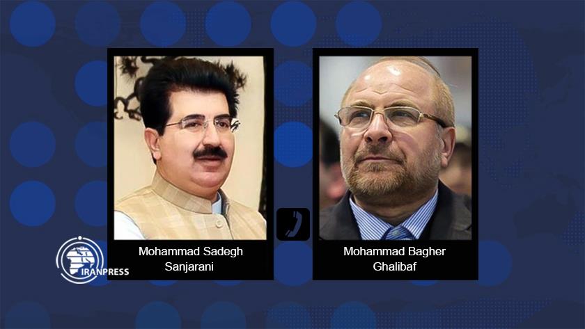 Iranpress: Iran, Pakistan highlight collaboration in regional, intl. forums