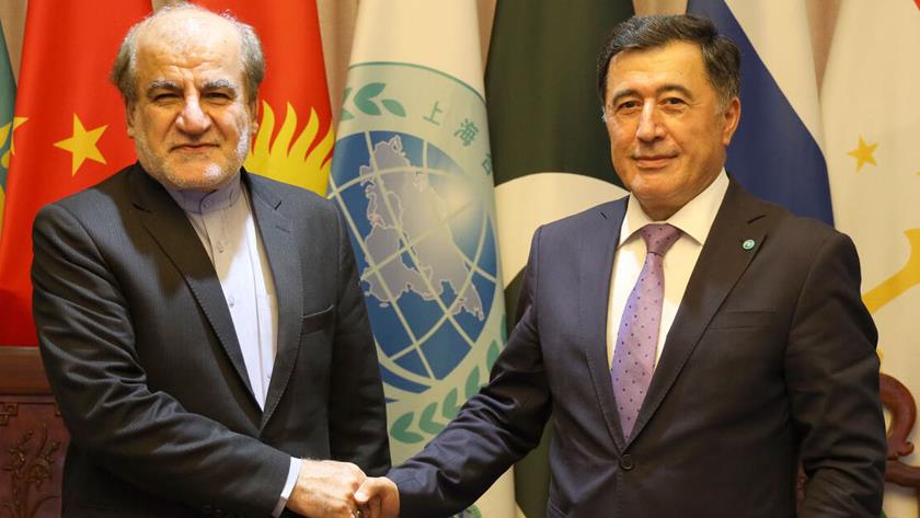 Iranpress: Iran envoy to China meets head of Shanghai Cooperation Organization