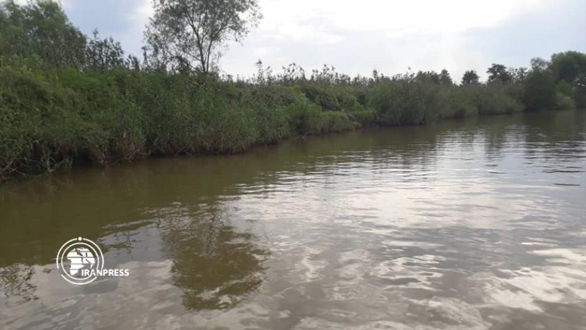 Iranpress: Beautiful Siahdarvishan wetland in Iran receives migratory birds annually
