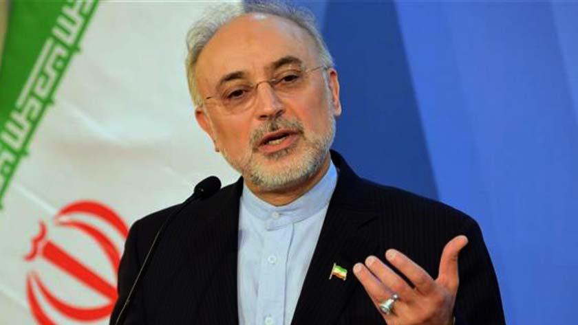 Iranpress: AEOI Cheif: Iran has acquired science of enriching stable isotopes