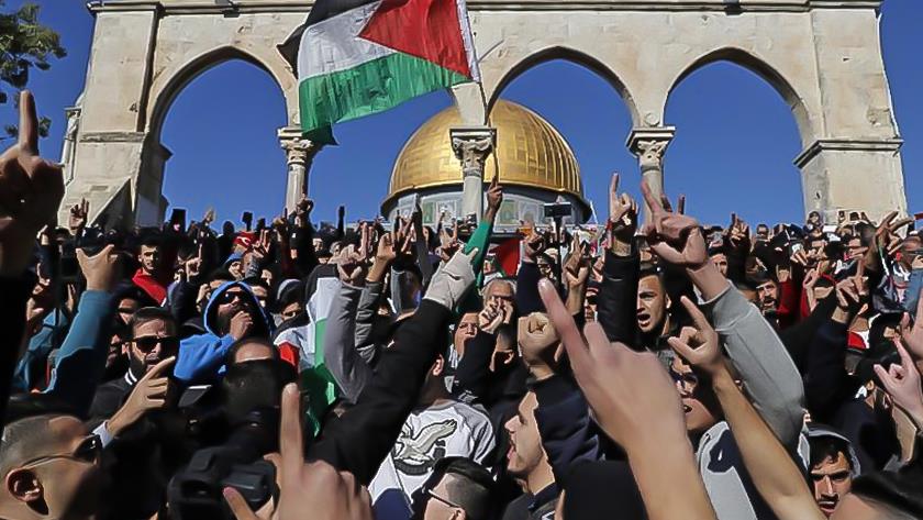 Iranpress: Launching a campaign to sign the Palestinian Charter