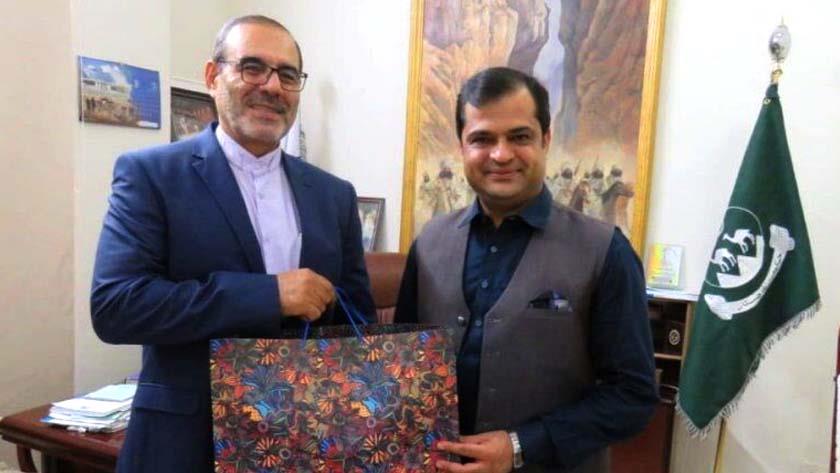 Iranpress: Iran, Pakistan confer on boosting bilateral relations