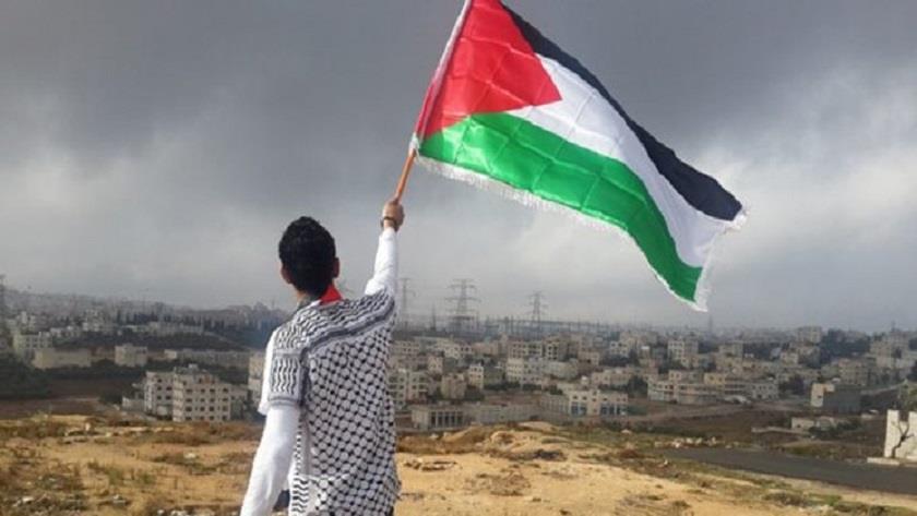 Iranpress: South Africa says supports Palestinian cause firmly