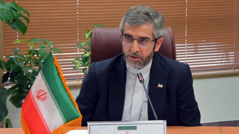 Iranpress: Western governments, biggest violator of Iranian rights