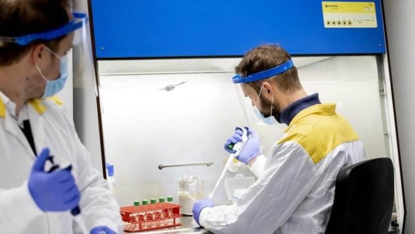 Iranpress: More than 34 million infected by COVID-19 in the world