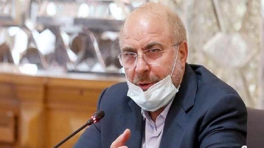 Iranpress: Coronavirus outbreak top concern of country: Speaker