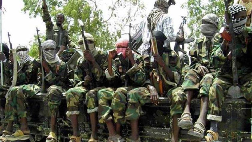 Iranpress: Chad: 18 soldiers killed and wounded in Boko Haram terrorist attack