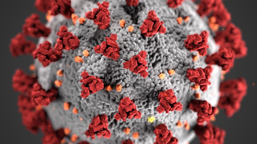 Iranpress: Coronavirus in India: 54,028 new cases