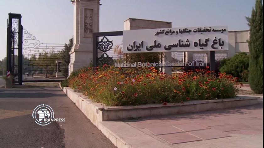 Iranpress:  National Botanical Garden of Iran